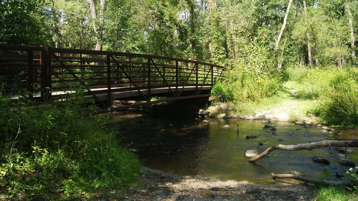 Woodrow Wilson Woods