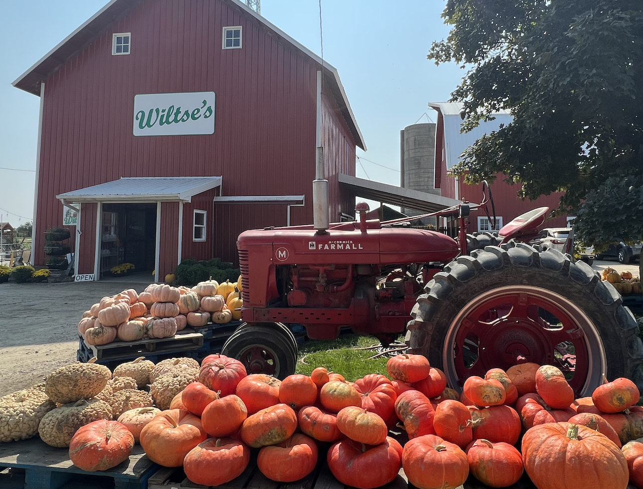 Wiltse's Farm