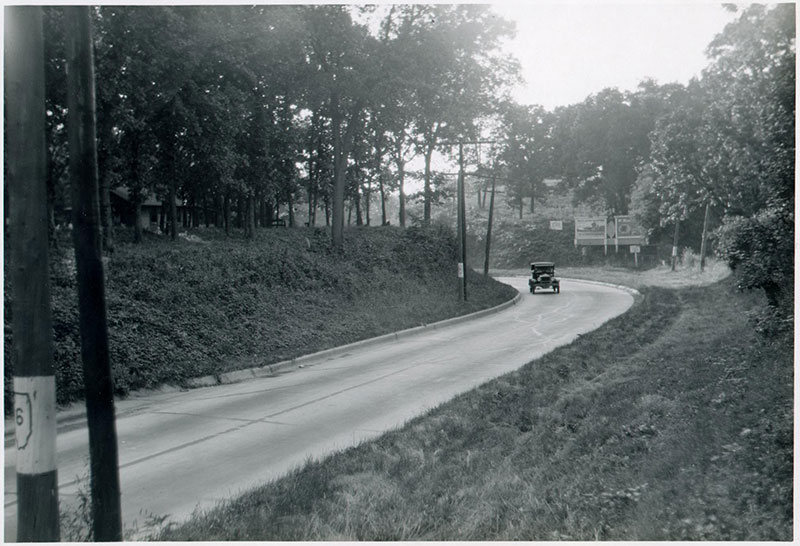 Morrison Seedling Mile