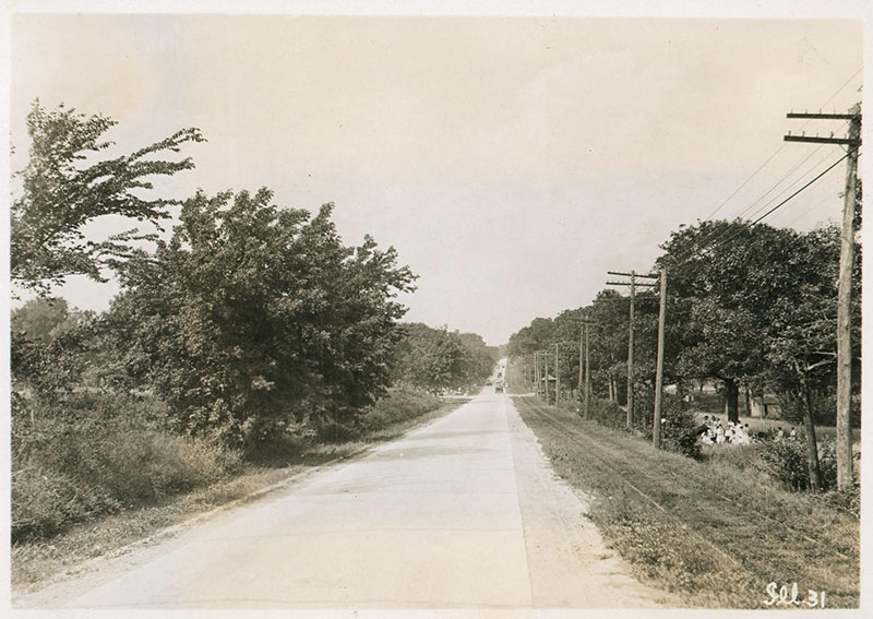 Mooseheart Seedling Mile